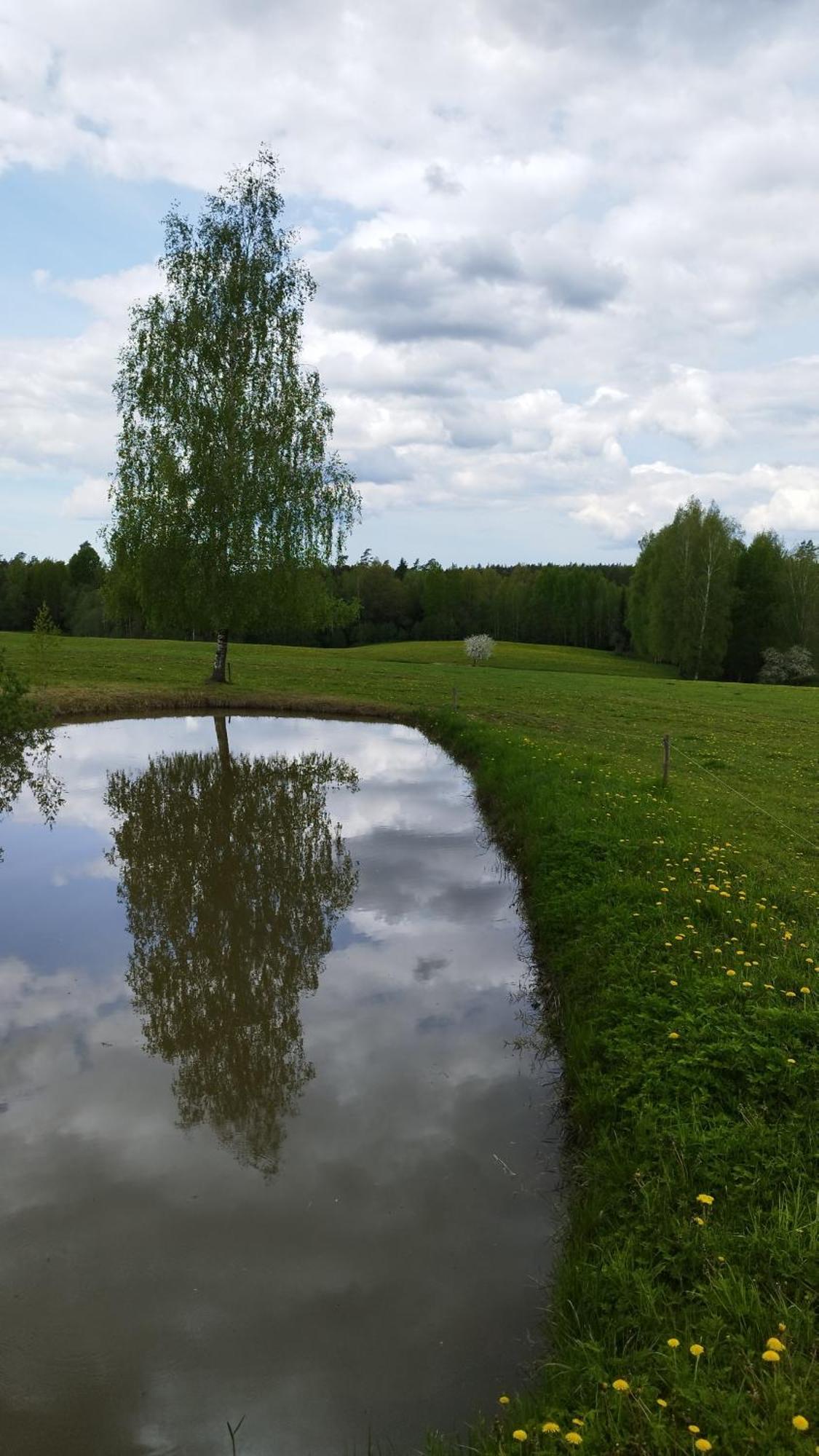 Guesthouse, Sauna & Jacuzzi In Gauja Valley - Kakukalns Straupe Exterior photo